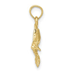 Load image into Gallery viewer, 10K Yellow Gold Hummingbird Charm Pendant