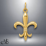 Load image into Gallery viewer, 14K Yellow Gold Hollow Fleur De Lis Charm with Chain Necklace options