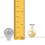 Load image into Gallery viewer, 14K Yellow Gold or White Gold Double Dolphin Circle Pendant with Necklace Chain Options