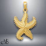 Load image into Gallery viewer, 14K Yellow Gold Polished Open-Backed Starfish Pendant with Necklace Chain Options