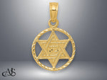Load image into Gallery viewer, 14K Yellow Gold Star of David in Circle Frame Pendant with Necklace Chain Options