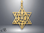 Load image into Gallery viewer, 14K Yellow Gold Star Of David 12 Tribes Pendant with Necklace Chain Options