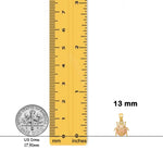 Load image into Gallery viewer, 14K Two Tone Gold Ladybug Pendant with Necklace Chain Options