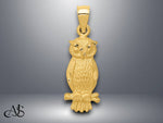 Load image into Gallery viewer, 14K Yellow Gold Satin Diamond-cut Owl Pendant with Necklace Chain Options