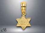 Load image into Gallery viewer, 14K Yellow Gold Engraved Mini Star Of David Charm with Necklace Chain Options