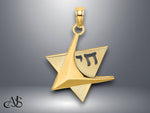 Load image into Gallery viewer, 14K Yellow Gold Polished Star Of David W/Chai Charm with Necklace Chain Options