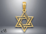 Load image into Gallery viewer, 14K Yellow Gold Polished Star Of David Charm with Necklace Chain Options