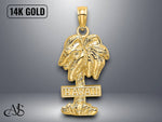 Load image into Gallery viewer, 14K Yellow Gold HAWAII Palm Tree Charm with Necklace Chain Options