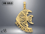 Load image into Gallery viewer, 14K Yellow Gold Polished ST. THOMAS Angelfish Charm with Necklace Chain Options