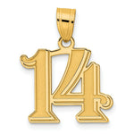 Load image into Gallery viewer, 14K Yellow Gold Polished Etched Number 4 Pendant