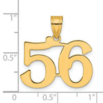 Load image into Gallery viewer, 14K Yellow Gold Polished Number 20 Pendant