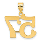 Load image into Gallery viewer, 14K Yellow Gold Polished Number 20 Pendant