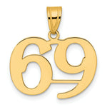 Load image into Gallery viewer, 14K Yellow Gold Polished Number 20 Pendant