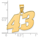 Load image into Gallery viewer, 14K Yellow Gold Polished Block Number Pendant