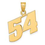 Load image into Gallery viewer, 14K Yellow Gold Polished Block Number Pendant