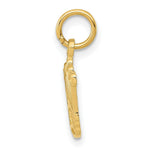 Load image into Gallery viewer, 14K Yellow Gold Kings Crown Charm