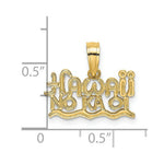Load image into Gallery viewer, 14K Yellow Gold Hawaii No Kaoi Charm Pendant