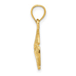 Load image into Gallery viewer, 14K Yellow Gold Sand Dollar Pendant 15mm width