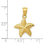 Load image into Gallery viewer, 14K Yellow Gold StarFish Pendant 22mm length