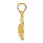 Load image into Gallery viewer, 14K Yellow Gold Turtle Pendant