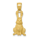 Load image into Gallery viewer, 14K Yellow Gold Diamond-cut Rabbit Pendant