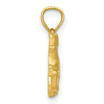 Load image into Gallery viewer, 14K Yellow Gold Diamond-cut Pig Pendant