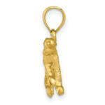 Load image into Gallery viewer, 14K Yellow Gold Diamond-cut Monkey Pendant