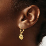 Load image into Gallery viewer, 14K Yellow Gold Scallop Shell Leverback Earrings
