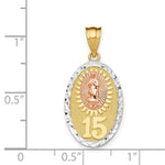 Load image into Gallery viewer, 14K Yellow Gold Yellow & Rose Gold w/Rhodium Guadalupe & 15 Pendant