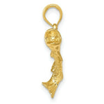 Load image into Gallery viewer, 14K Yellow Gold Polished & Textured Bass Fish Pendant