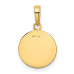 Load image into Gallery viewer, 14K Yellow Gold Polished Baseball Closed Back Pendant