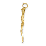 Load image into Gallery viewer, 14K Yellow Gold Polished Corpus Pendant