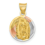 Load image into Gallery viewer, 14K Yellow Gold & Rhodium Polished & Diamond-cut Lady of Guadalupe Circle Pendant