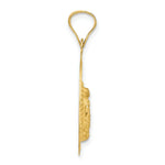 Load image into Gallery viewer, 14K Yellow Gold & Rhodium Polished & Diamond-cut Lady of Guadalupe Circle Pendant
