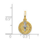 Load image into Gallery viewer, 14K Yellow Gold With Rhodium Circle St. Benedict Medal Pendant