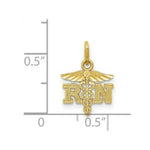 Load image into Gallery viewer, 14K Yellow Gold Diamond-cut Polished RN Nurse Pendant