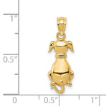 Load image into Gallery viewer, 14K Yellow Gold Polished Sitting Dog Pendant