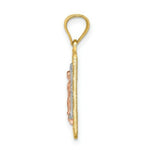 Load image into Gallery viewer, 14k Tri-Color Gold Diamond-cut Lady of Guadalupe Pendant
