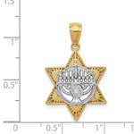 Load image into Gallery viewer, 14k Two Tone Gold Star of David & Menorah Pendant