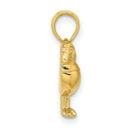 Load image into Gallery viewer, 14K Yellow Gold 2-D Polished and Textured Puffin Bird Charm Pendant