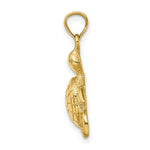 Load image into Gallery viewer, 14K Yellow Gold 2-D & Polished Turtle With Textured Shell Charm Pendant
