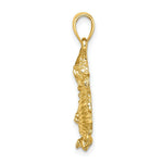 Load image into Gallery viewer, 14K Yellow Gold 2-D & Textured Dragon Charm Pendant