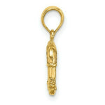 Load image into Gallery viewer, 14K Yellow Gold 3-D & Textured Republican Elephant Charm Pendant