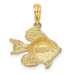 Load image into Gallery viewer, 14K Yellow Gold Polished and Engraved Fish Charm Pendant
