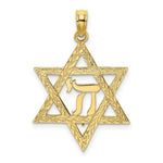 Load image into Gallery viewer, 14K Yellow Gold Jewish Star With Chi Center Charm Pendant