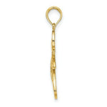 Load image into Gallery viewer, 14K Yellow Gold with White Rhodium Flying Angel Charm Pendant