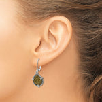 Load image into Gallery viewer, Sterling Silver Antiqued Widows Mite Coin Leverback Earrings
