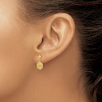 Load image into Gallery viewer, 14K Yellow Gold Polished Raphael Angel Earrings