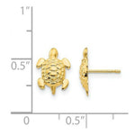 Load image into Gallery viewer, 14K Yellow Gold Madi K Turtle Post Earrings