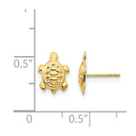 Load image into Gallery viewer, 14K Yellow Gold Madi K Turtle Post Earrings